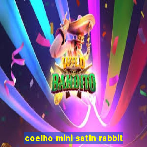 coelho mini satin rabbit